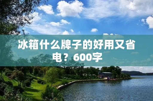 冰箱什么牌子的好用又省电？600字