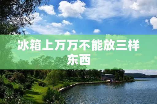 冰箱上万万不能放三样东西 冰箱上万万不能放三样东西