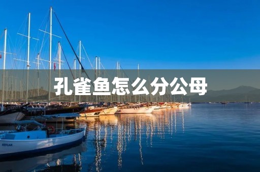 孔雀鱼怎么分公母