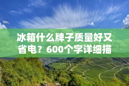 冰箱什么牌子质量好又省电?600个字详细描述 冰箱什么牌子质量好又省电?600个字详细描述