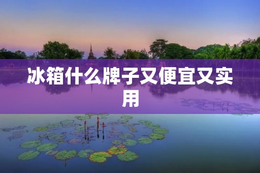 冰箱什么牌子又便宜又实用