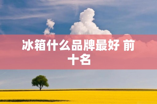 冰箱什么品牌最好 前十名:为您推荐最佳冰箱品牌 冰箱什么品牌最好 前十名:为您推荐最佳冰箱品牌