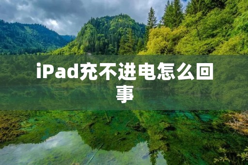 iPad充不进电怎么回事