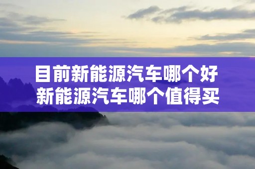 目前新能源汽车哪个好 新能源汽车哪个值得买 目前新能源汽车哪个好 新能源汽车哪个值得买