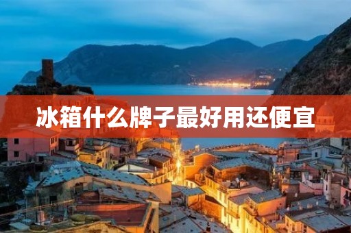冰箱什么牌子最好用还便宜:挑选高性价比的品牌与购买技巧 冰箱什么牌子最好用还便宜:挑选高性价比的品牌与购买技巧