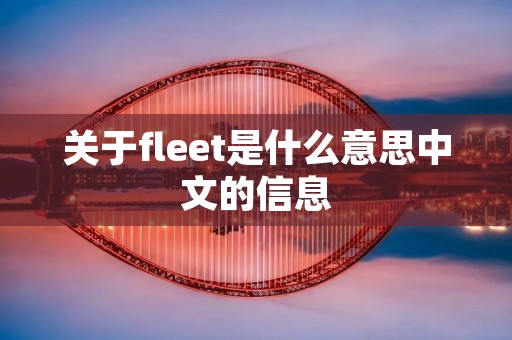 关于fleet是什么意思中文的信息