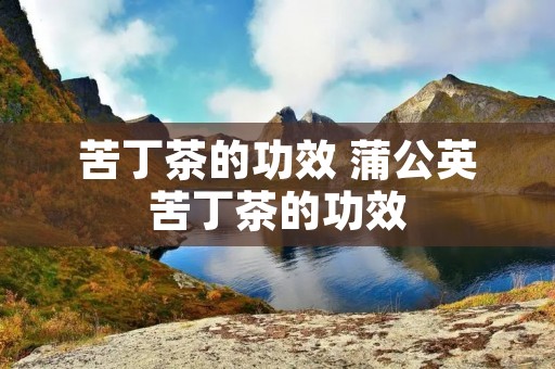 苦丁茶的功效 蒲公英苦丁茶的功效 苦丁茶的功效 蒲公英苦丁茶的功效
