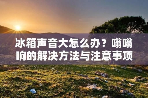 冰箱声音大怎么办?嗡嗡响的解决方法与注意事项 冰箱声音大怎么办?嗡嗡响的解决方法与注意事项