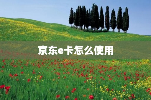 京东e卡怎么使用