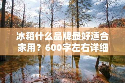 冰箱什么品牌最好适合家用?600字左右详细描述 冰箱什么品牌最好适合家用?600字左右详细描述