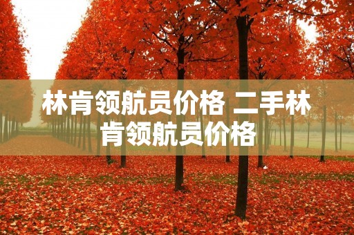 林肯领航员价格 二手林肯领航员价格 林肯领航员价格 二手林肯领航员价格