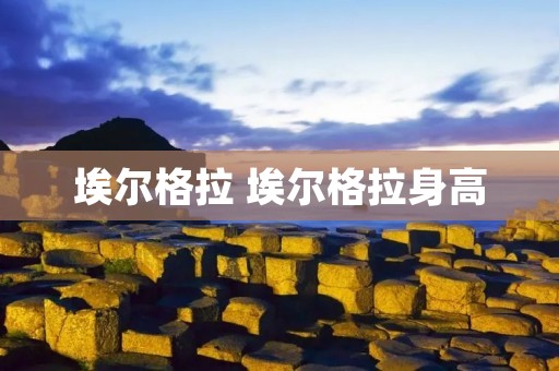 埃尔格拉 埃尔格拉身高