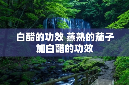 白醋的功效 蒸熟的茄子加白醋的功效