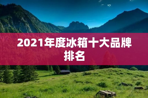 2021年度冰箱十大品牌排名：各大品牌竞争激烈，谁能脱颖而出？