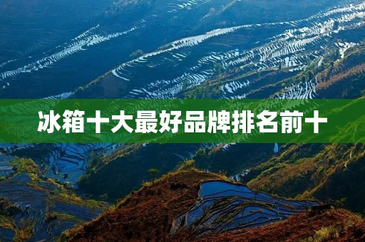 冰箱十大最好品牌排名前十:为你推荐值得信赖的冰箱品牌 冰箱十大最好品牌排名前十:为你推荐值得信赖的冰箱品牌