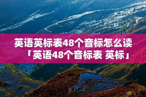 英语英标表48个音标怎么读「英语48个音标表 英标」
