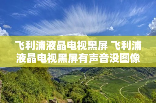 飞利浦液晶电视黑屏 飞利浦液晶电视黑屏有声音没图像