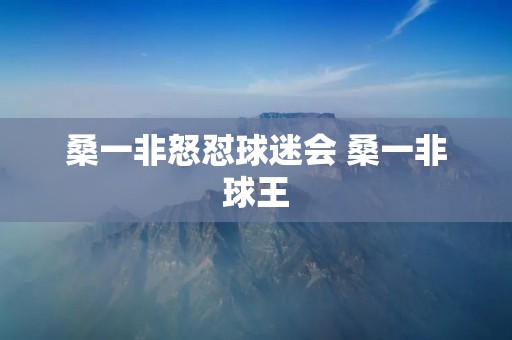 桑一非怒怼球迷会 桑一非球王