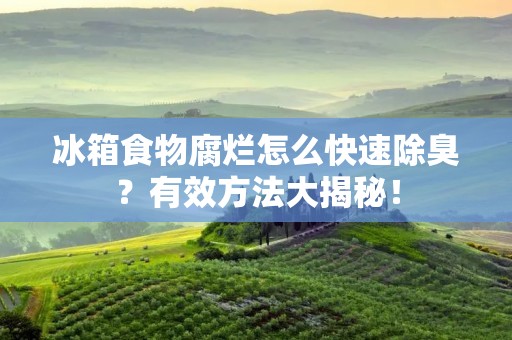 冰箱食物腐烂怎么快速除臭？有效方法大揭秘！