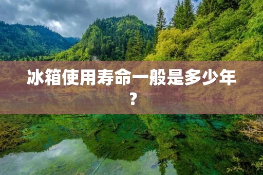 冰箱使用寿命一般是多少年? 冰箱使用寿命一般是多少年?