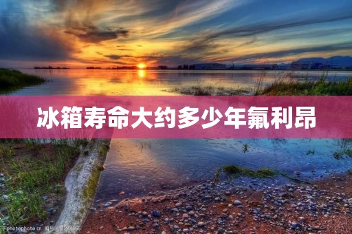 冰箱寿命大约多少年氟利昂:影响因素及延长寿命的方法 冰箱寿命大约多少年氟利昂:影响因素及延长寿命的方法