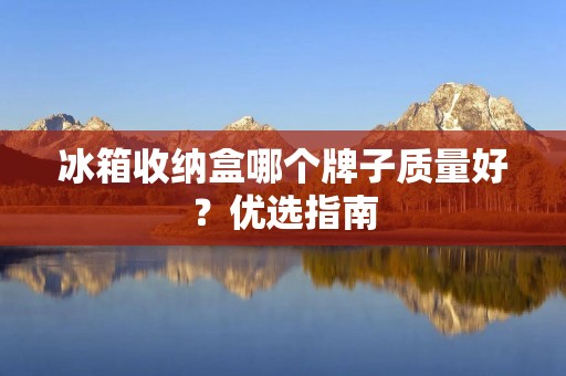 冰箱收纳盒哪个牌子质量好？优选指南
