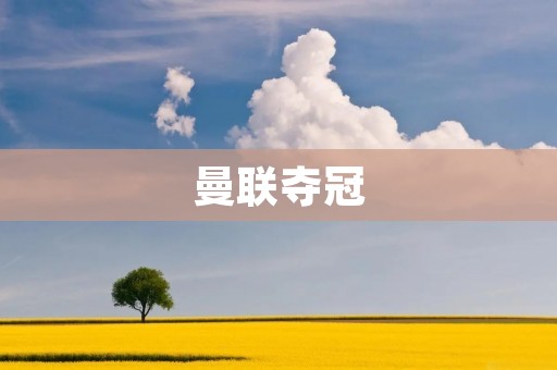 曼联夺冠:重返巅峰的辉煌时刻