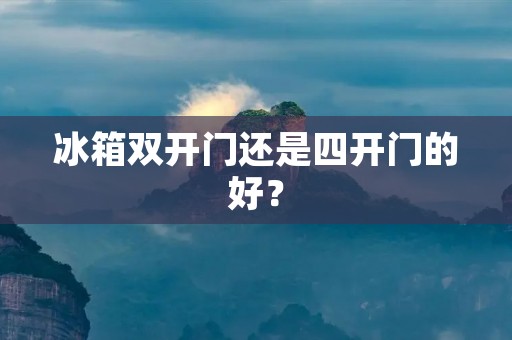 冰箱**门还是四开门的好？