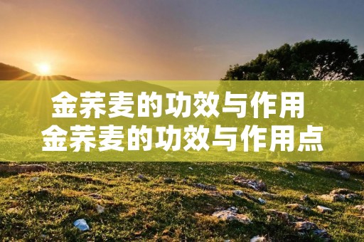 金荞麦的功效与作用 金荞麦的功效与作用点