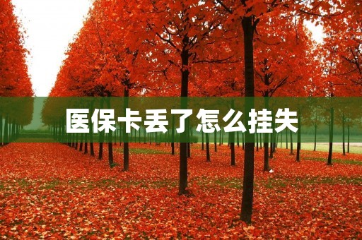 医保卡丢了怎么挂失