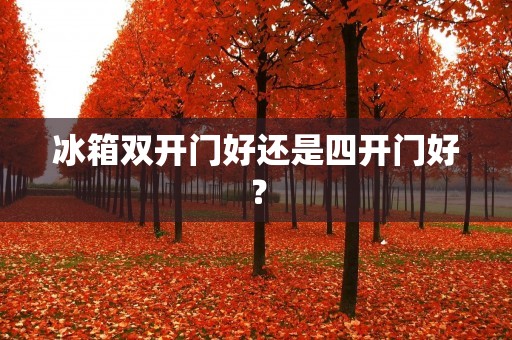 冰箱**门好还是四开门好? 冰箱**门好还是四开门好?