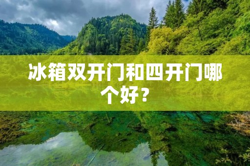 冰箱**门和四开门哪个好？