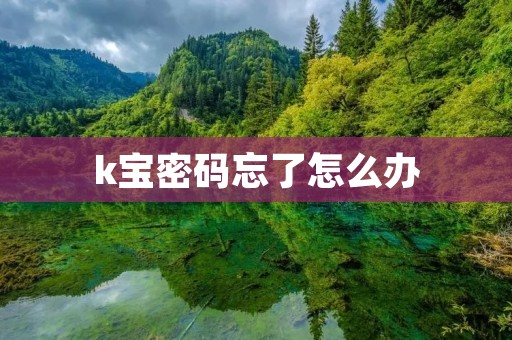 k宝密码忘了怎么办