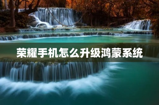 荣耀手机怎么升级鸿蒙系统