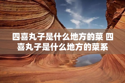 四喜丸子是什么地方的菜 四喜丸子是什么地方的菜系