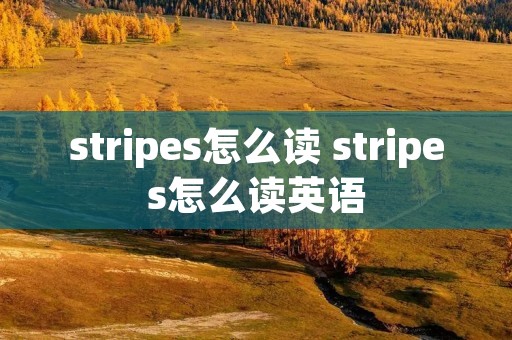stripes怎么读 stripes怎么读英语
