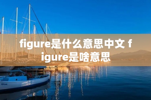 figure是什么意思中文 figure是啥意思