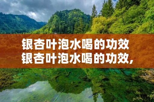 银杏叶泡水喝的功效 银杏叶泡水喝的功效,一次多少片,每天几次