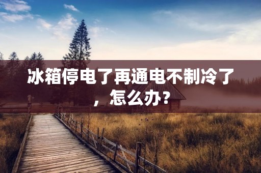 冰箱停电了再通电不制冷了,怎么办? 冰箱停电了再通电不制冷了,怎么办?