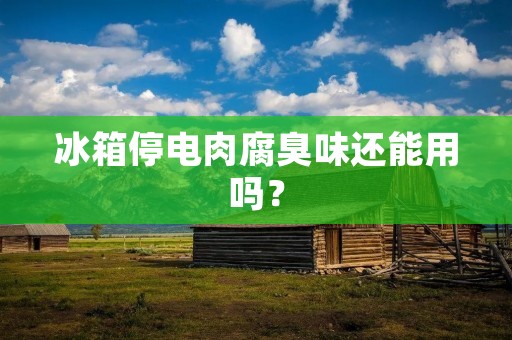 冰箱停电肉腐臭味还能用吗？