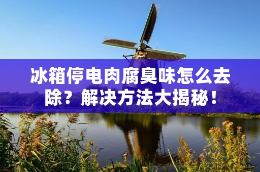 冰箱停电肉腐臭味怎么去除?解决方法大揭秘! 冰箱停电肉腐臭味怎么去除?解决方法大揭秘!