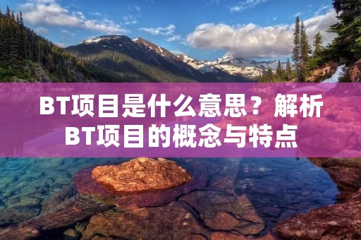BT项目是什么意思?解析BT项目的概念与特点