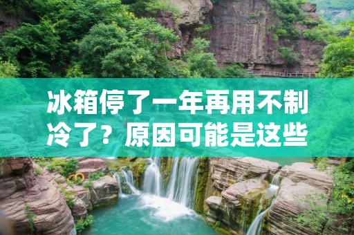 冰箱停了一年再用不制冷了?原因可能是这些! 冰箱停了一年再用不制冷了?原因可能是这些!