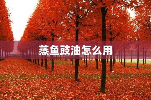 蒸鱼豉油怎么用