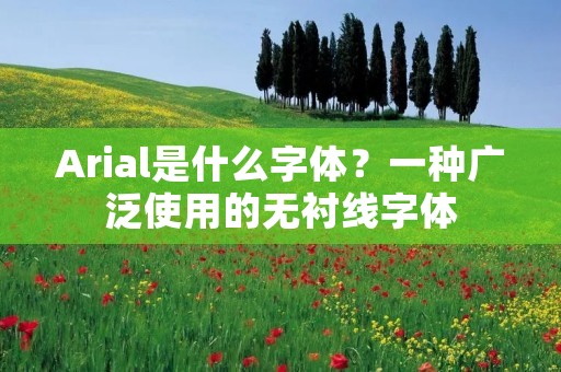 Arial是什么字体?一种广泛使用的无衬线字体