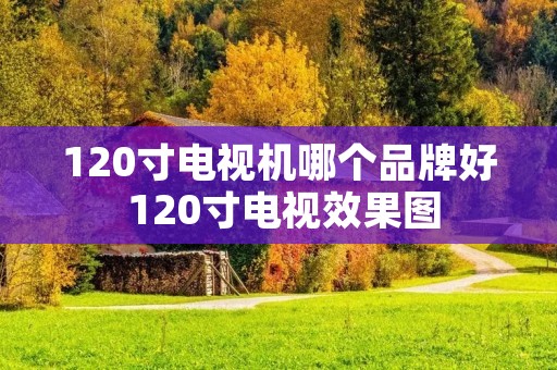 120寸电视机哪个品牌好 120寸电视效果图 120寸电视机哪个品牌好 120寸电视效果图
