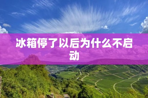 冰箱停了以后为什么不启动 冰箱停了以后为什么不启动
