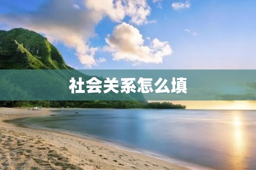 社会关系怎么填