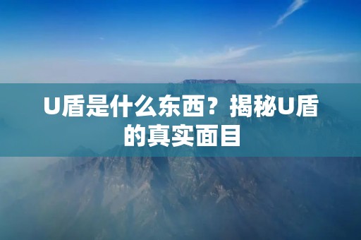 U盾是什么东西?揭秘U盾的真实面目