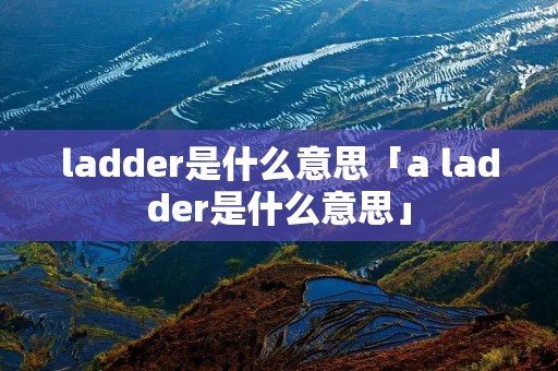 ladder是什么意思「a ladder是什么意思」
